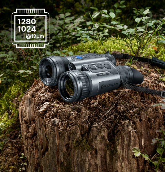 Pulsar  Merger LRF XT50