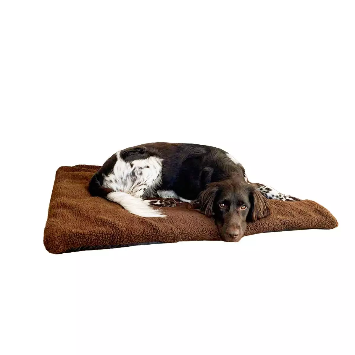Blaser Hundedecke - Braun