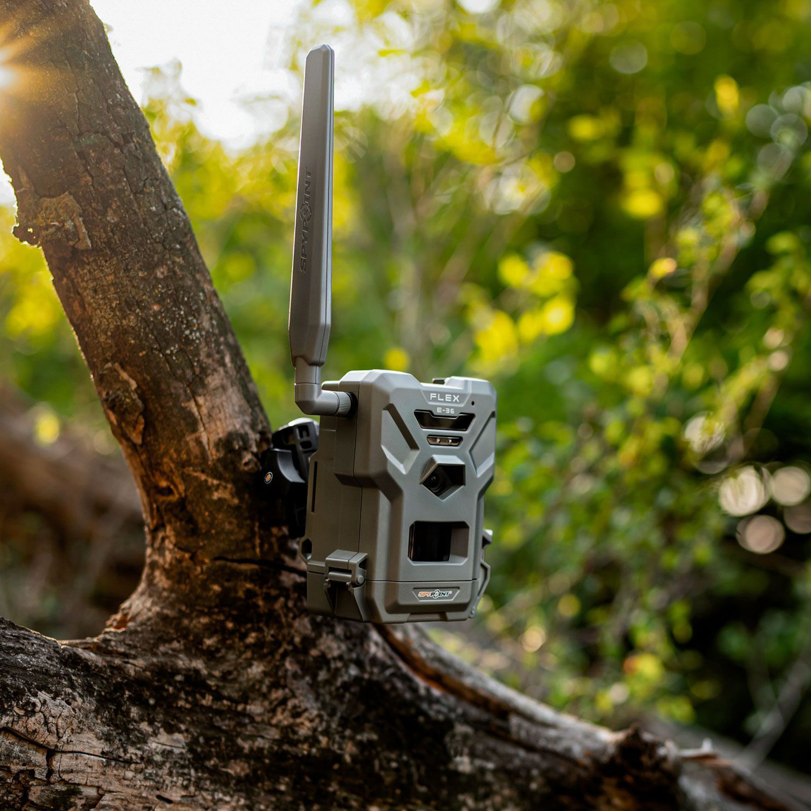 SPYPOINT Flex E-36 Wildkamera