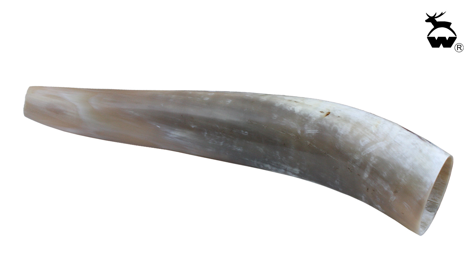WEISSKIRCHEN Ochsenhorn für Hirschruf