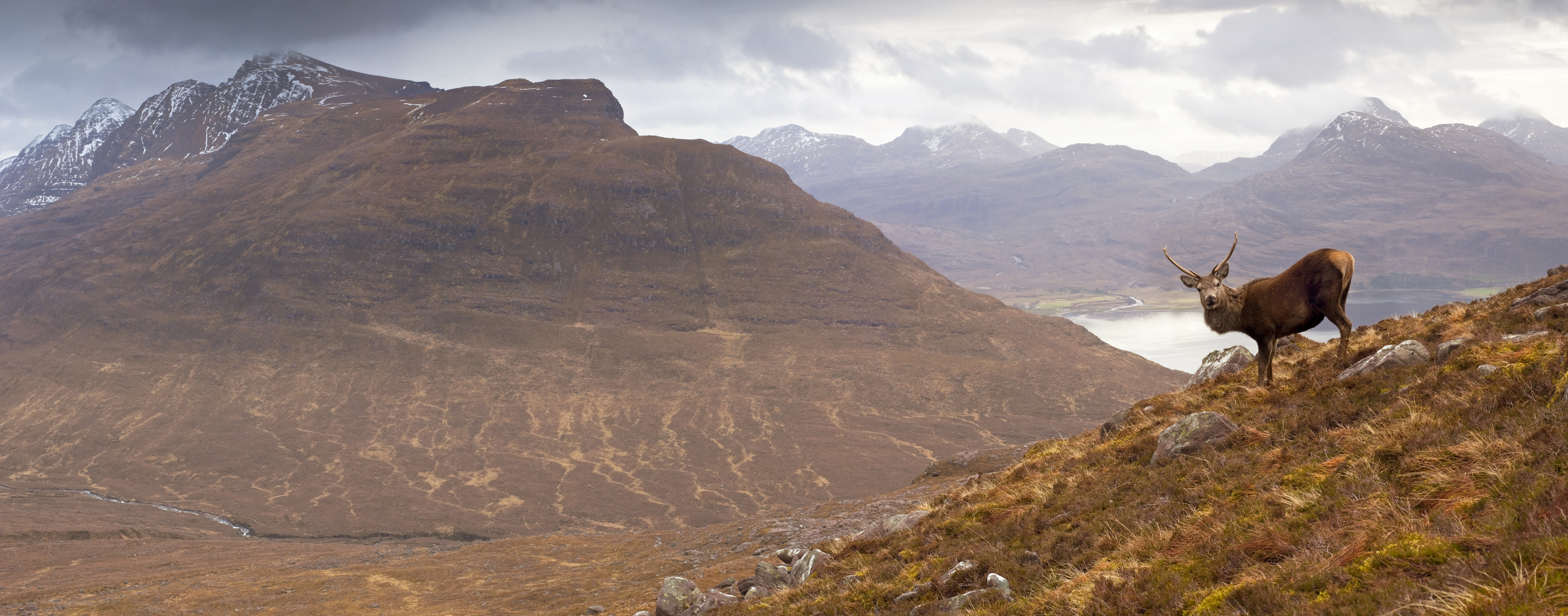 GPO Spectra 6x  3-18x56i BRi