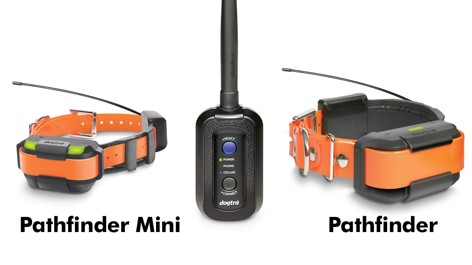 DOGTRA Pathfinder Mini