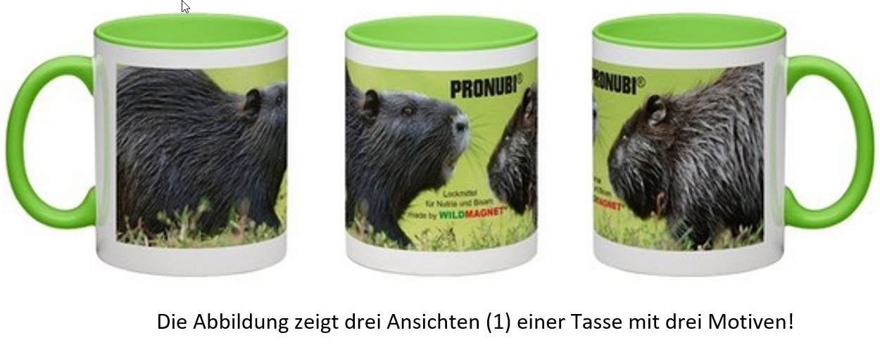 PRONUBI® Fan-Tasse "Nutria"