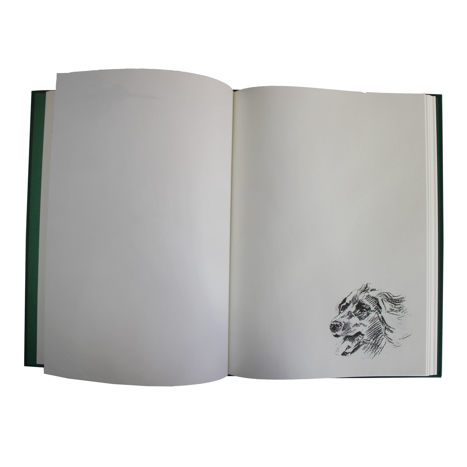 SCHUSS-/JAGDTAGEBUCH
