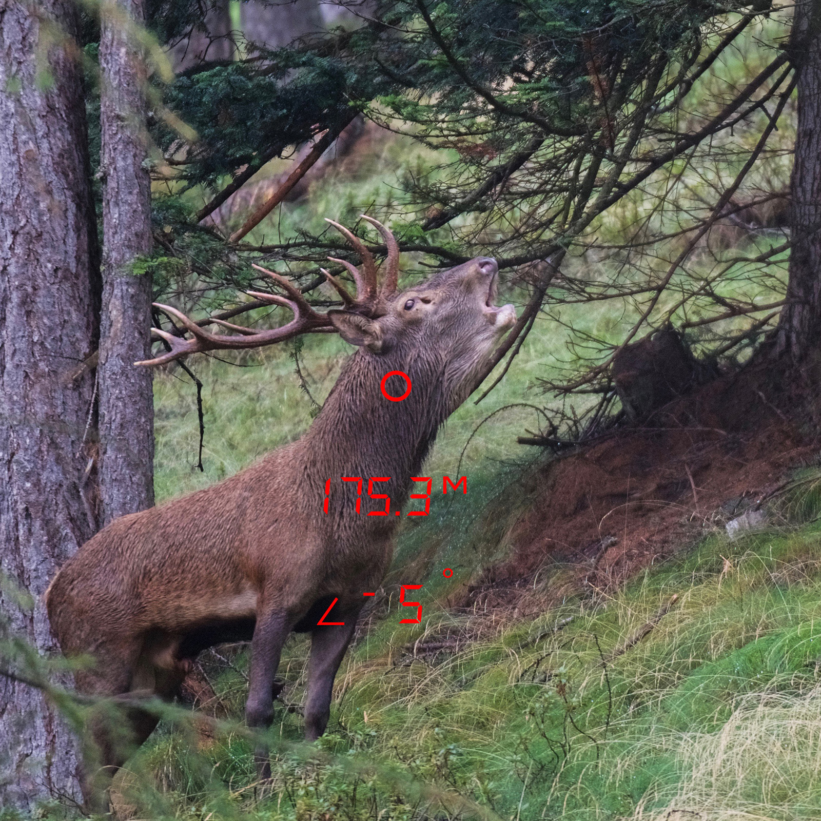 GPO RANGETRACKER 2000 6x20 OLED Laser-Entfernungsmesser