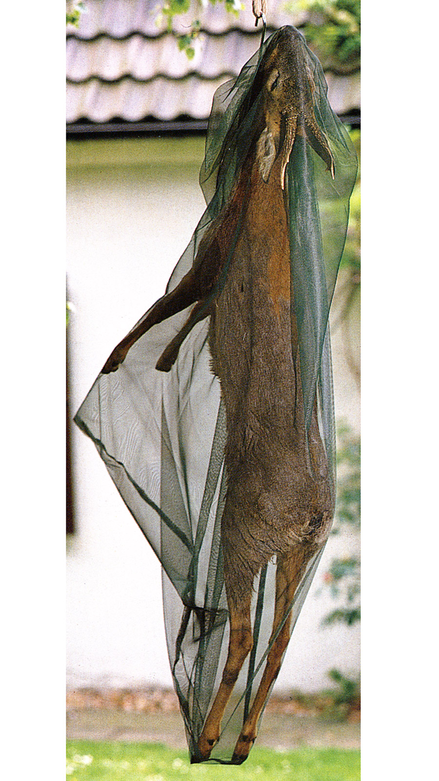 Insektenschutznetz