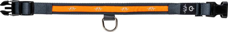 Blaser Halsband LED 